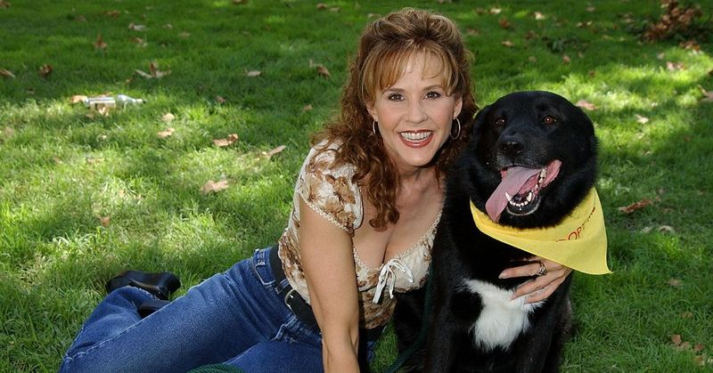 Linda Blair: From Possessed Child to Animal Protector
