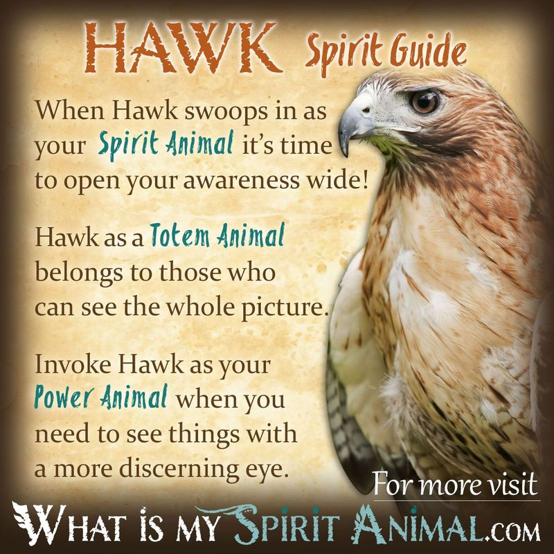 Power Animal Connections: Spirit Allies in Nature