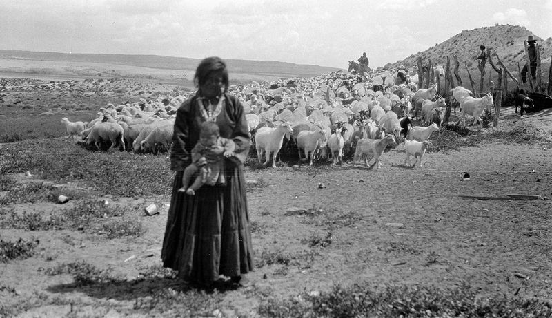 Navajo Shepherds with Flock, Arizona (1917) – Scenes from the Rez