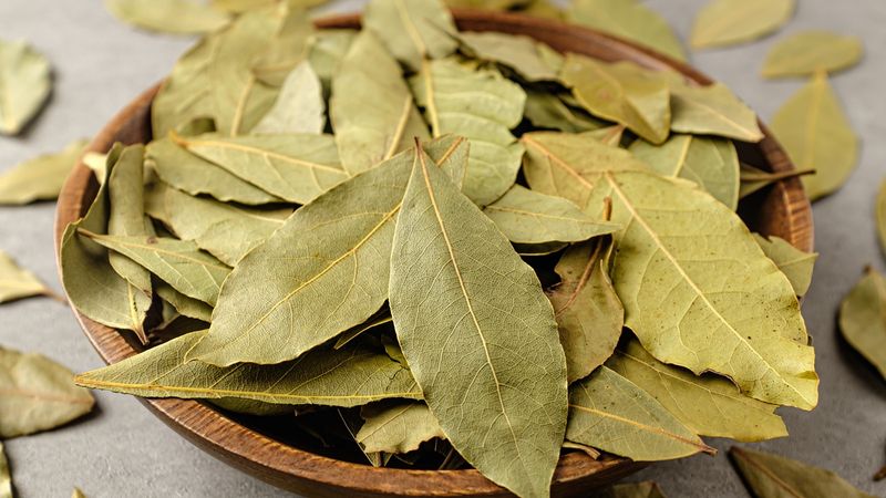Bay Leaves to Repel Pantry Moths