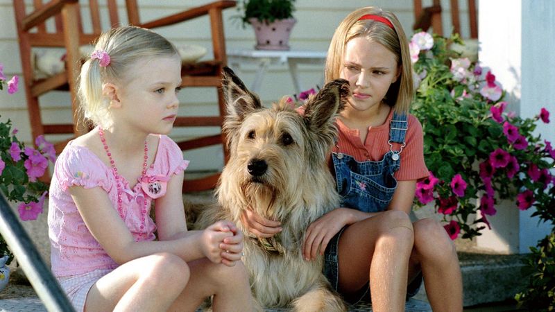 Because of Winn-Dixie (2005)