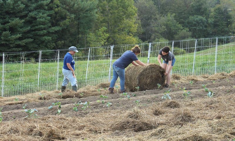 Agricultural Skills for All Students
