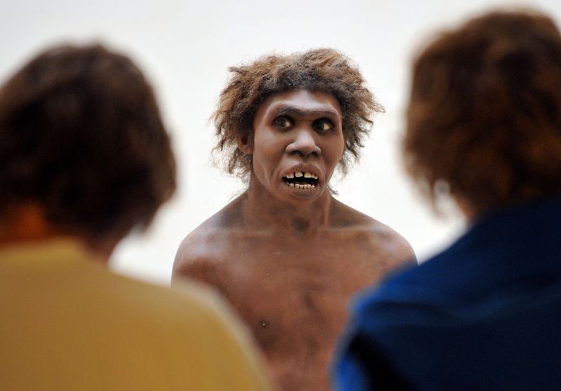 There’s More Neanderthal in Us Than You Think