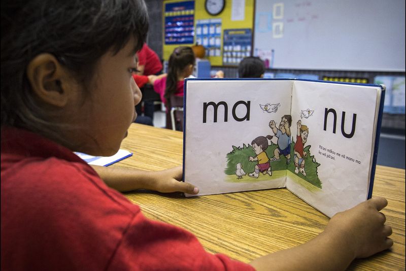 Revival of Endangered Languages