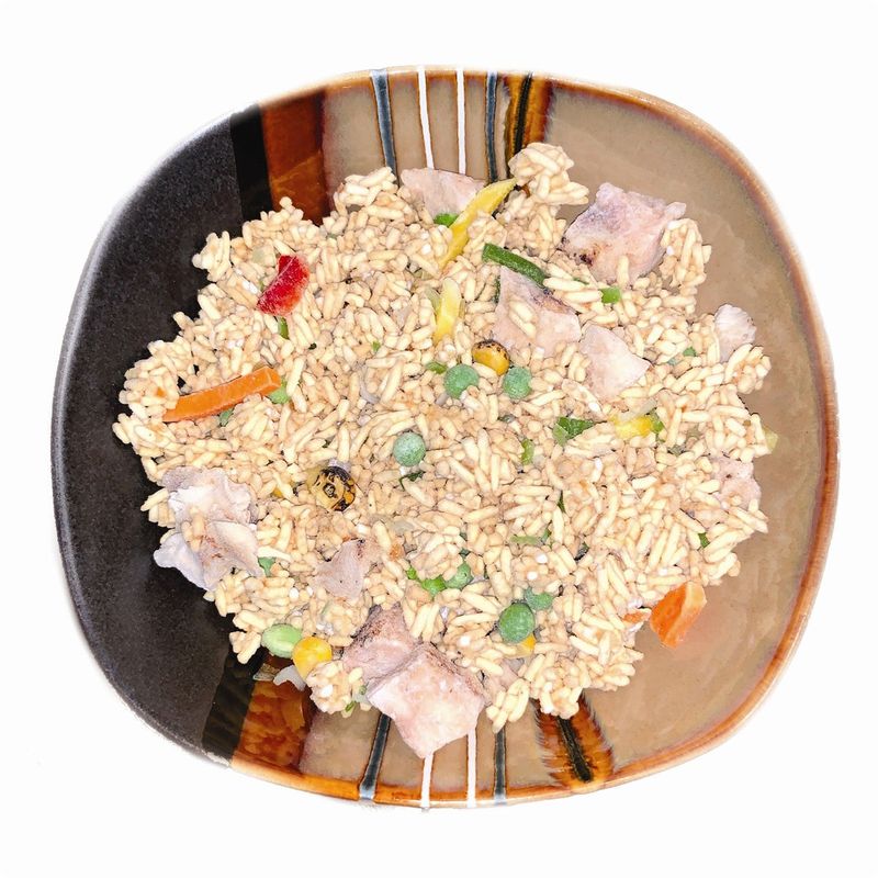 Canned Fried Rice (Modern Japan SDF)