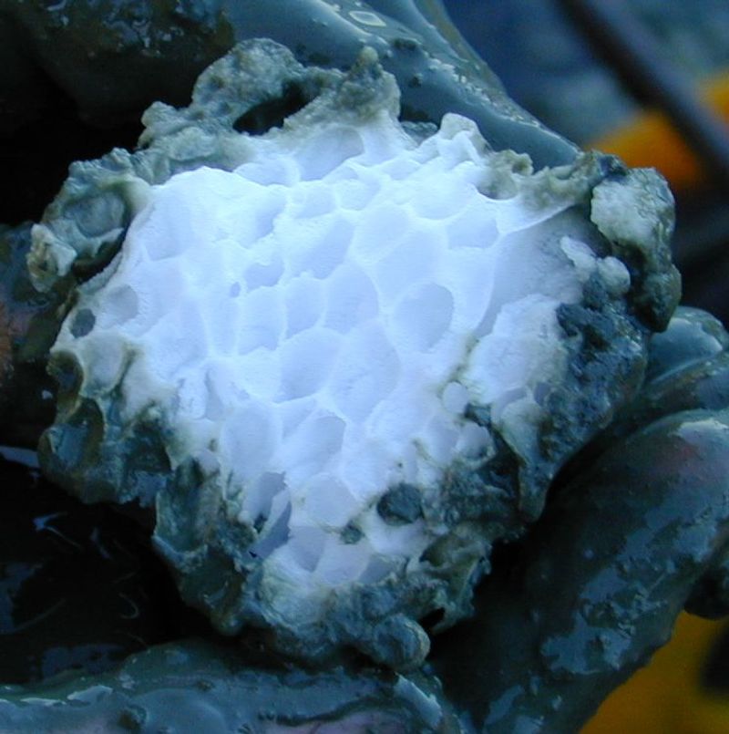 Methane Hydrate “Ice”