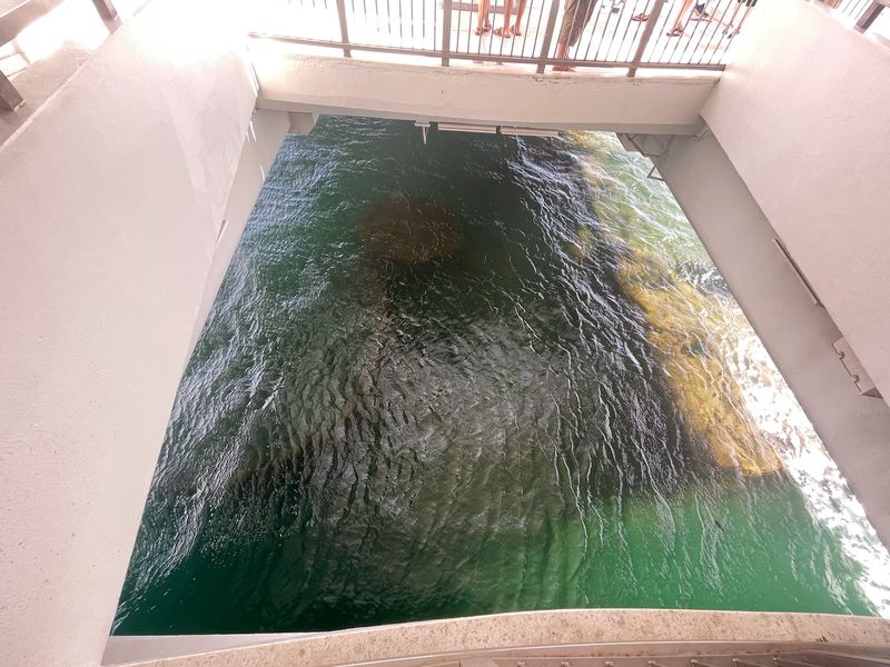 The Ship Burns Underwater