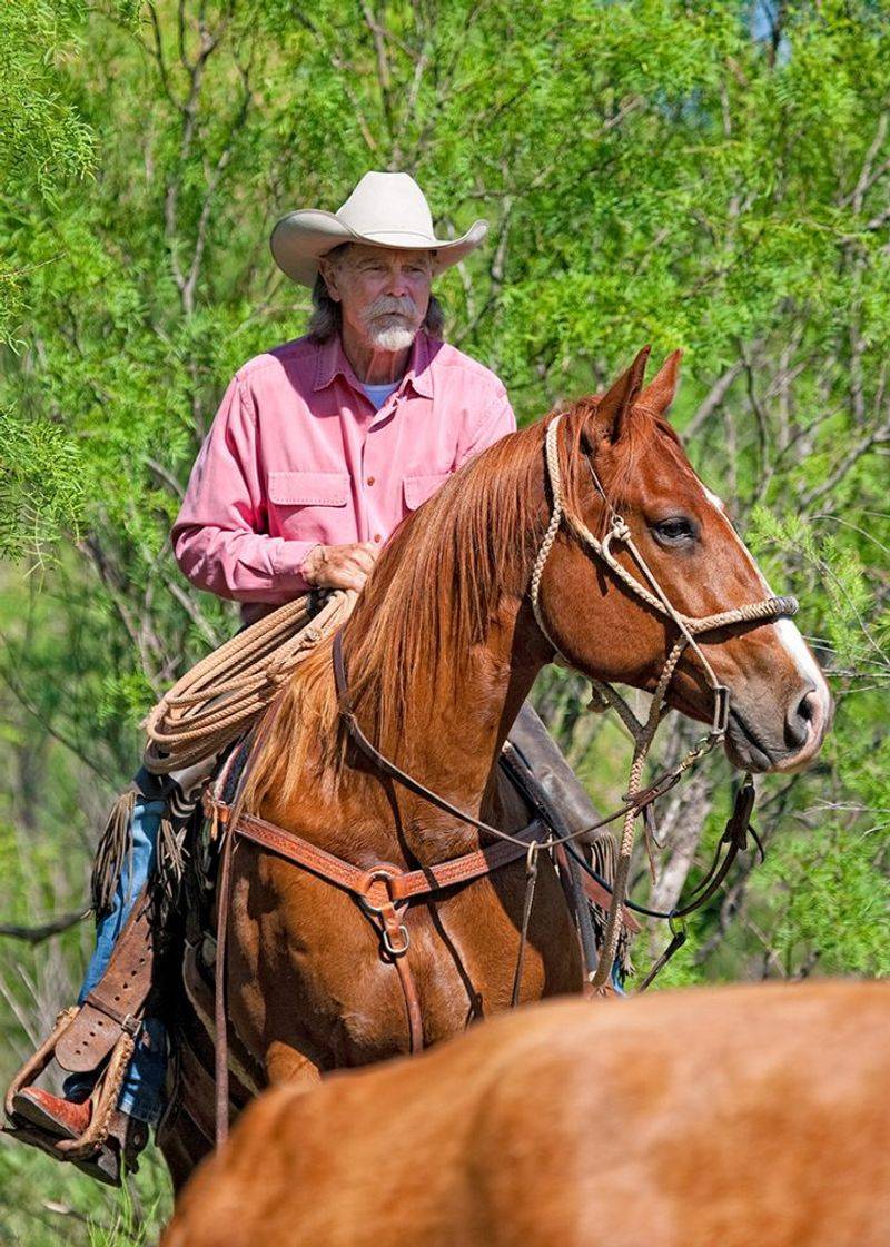 Buck Taylor