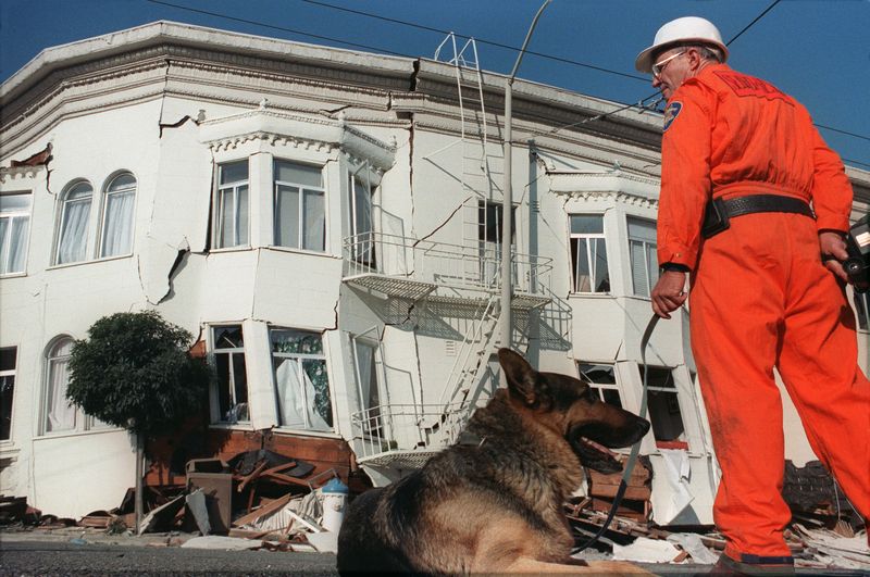 A Hero Dog Helps Rescuers
