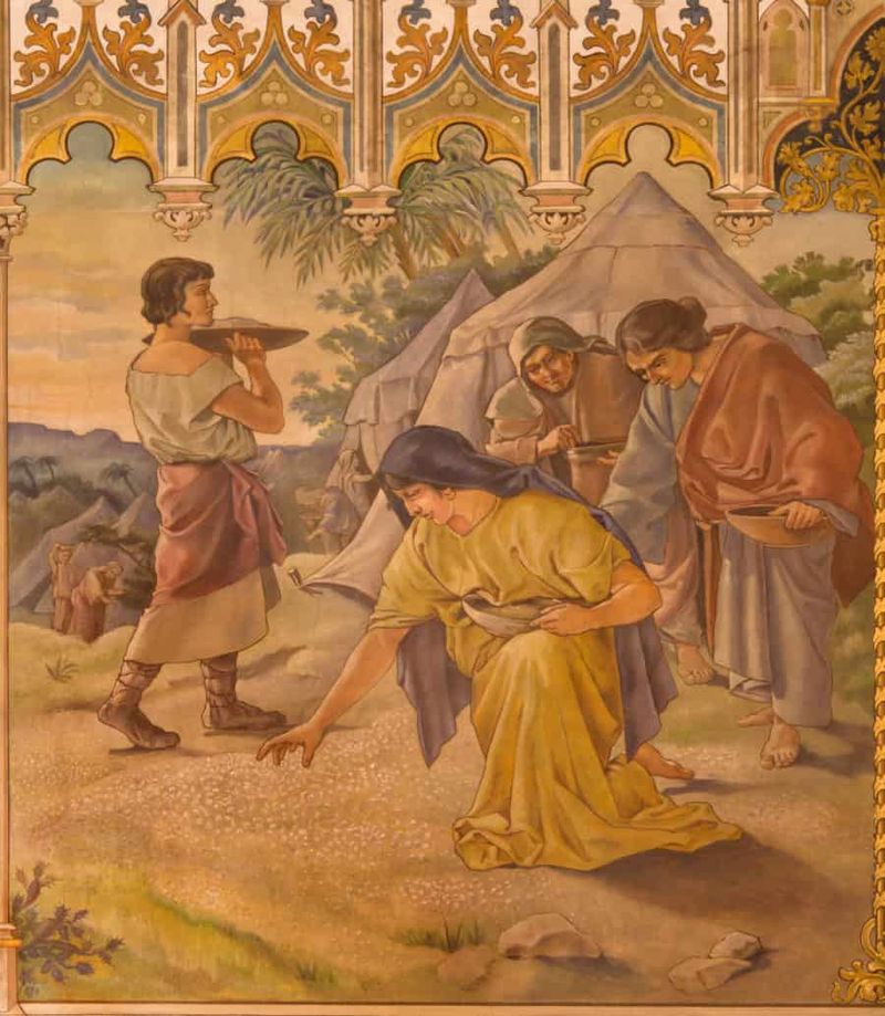 The Sabbath