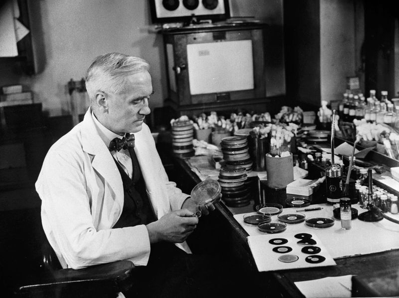 Penicillin Was Discovered by Total Accident