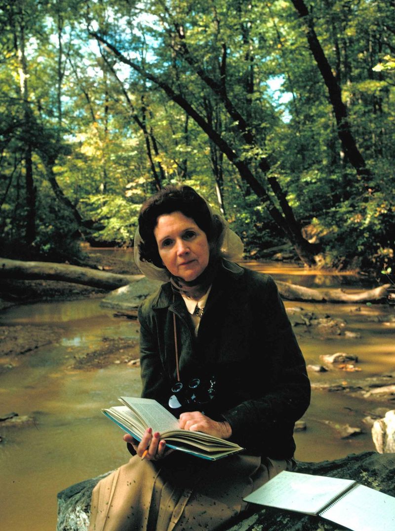 The Environmental Movement (1970s–Present)