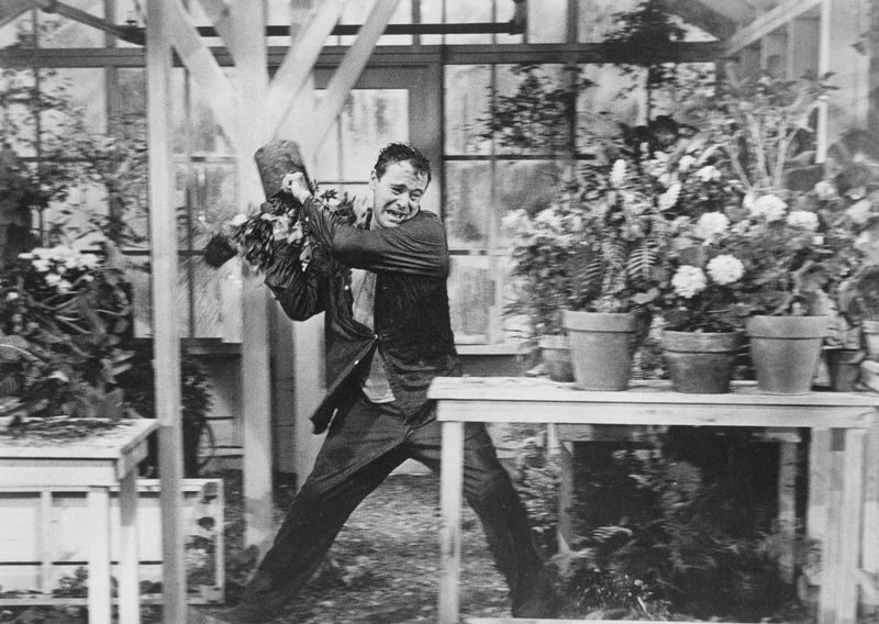 Days of Wine and Roses (1962)