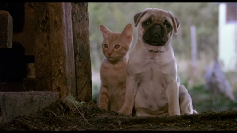 The Adventures of Milo and Otis (1986)