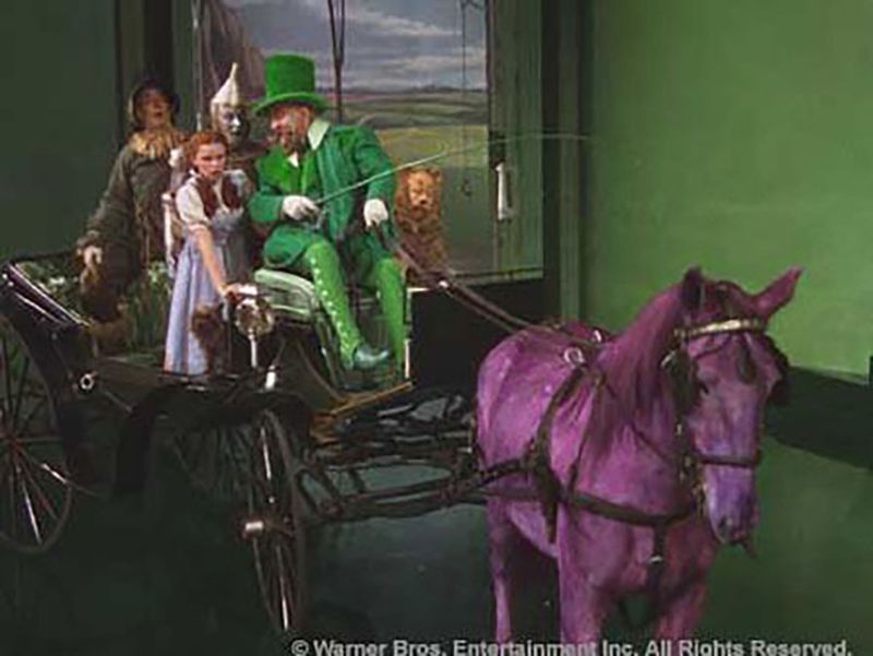 The Cabby with the Horse of a Different Color
