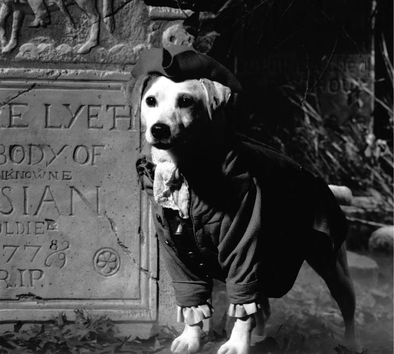 The Headless Horseman – Wishbone