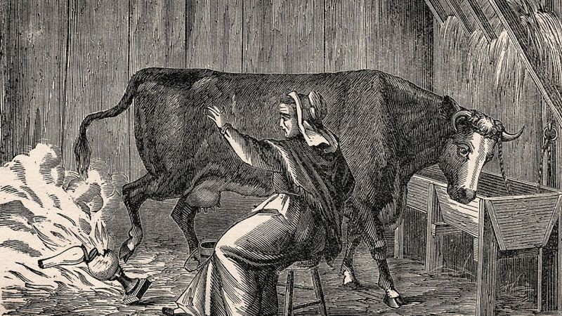It All Started in a Barn—Or Did It?
