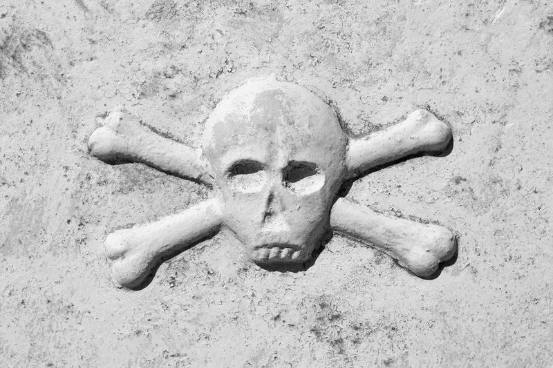 Skull and Bones: Yale's Worst-Kept Secret