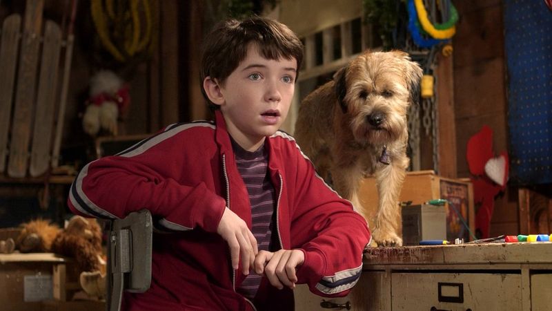 Good Boy! (2003)