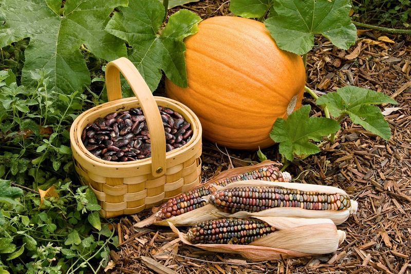 Sophisticated Agricultural Systems