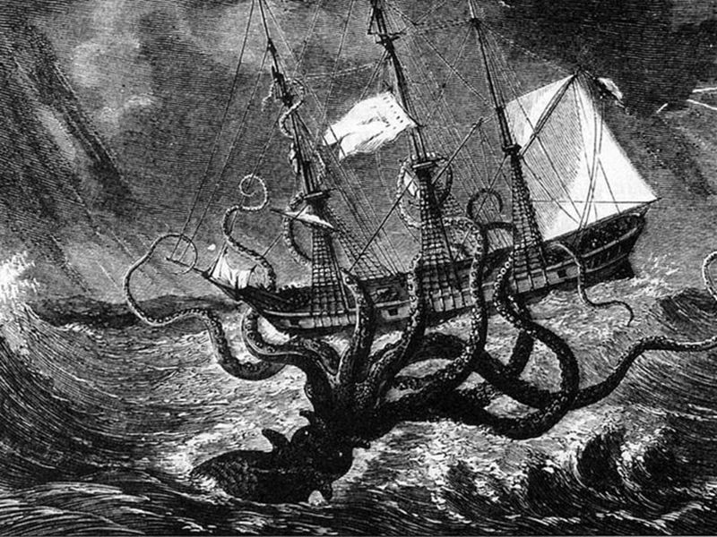 The Kraken
