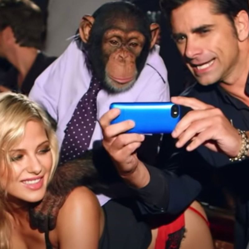 The Human-Like Behaviors That Shocked Everyone