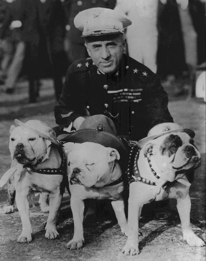 He Claimed War Could Be Prevented—Easily
