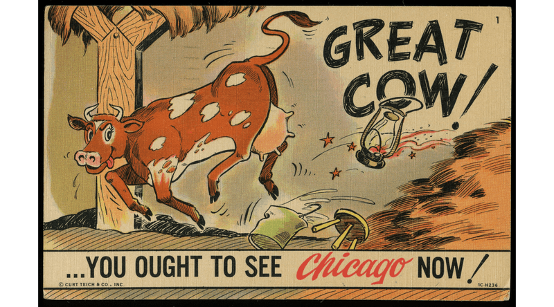 A Cow Was Unfairly Blamed for Generations