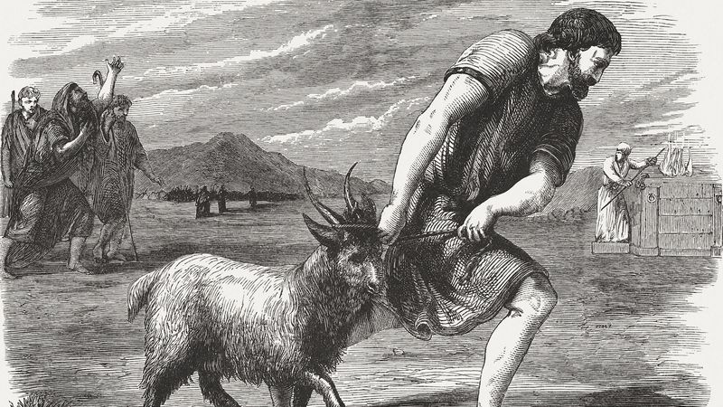 Animal Sacrifices