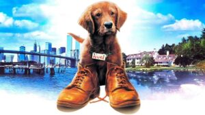 Luke Dog 50 Dog Movies That Every Animal Lover Should Watch Before They Die ...