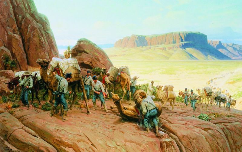 Camels Once Roamed the Texas Desert