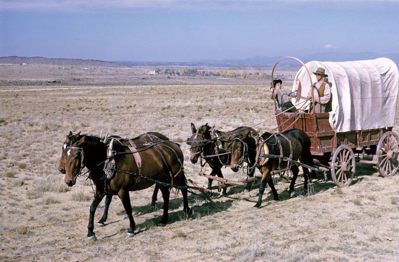 Westward Expansion's Engine