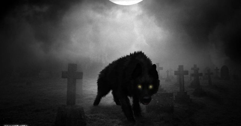 The Black Dog Ghost (Hellhound)