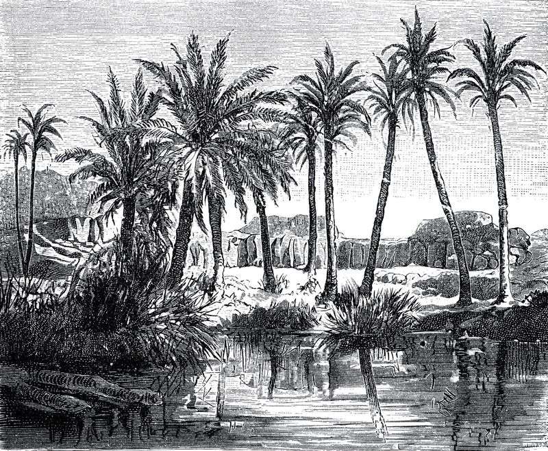 Zerzura: The White City of the Desert