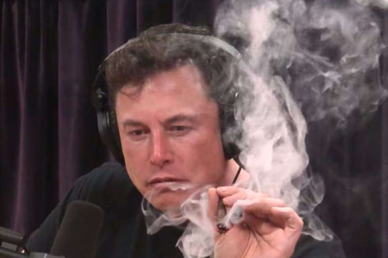 Elon Musk Smokes Weed
