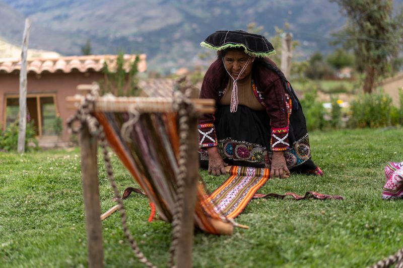 Andean Weaver, Bolivia