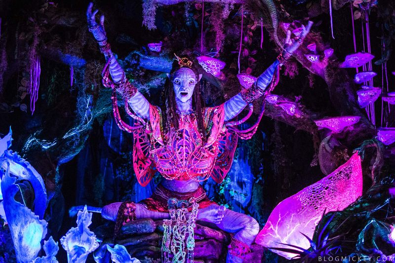 Na’vi River Journey (Animal Kingdom)
