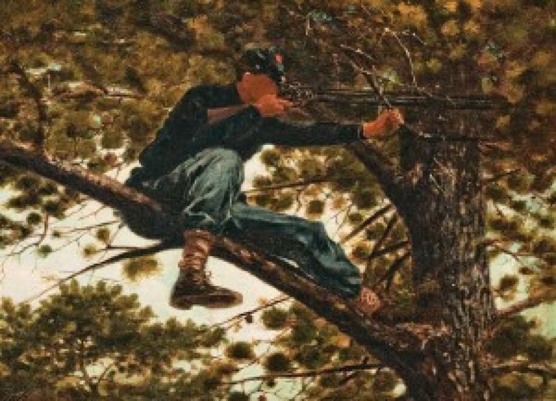 Sleeping in Trees to Avoid Predators