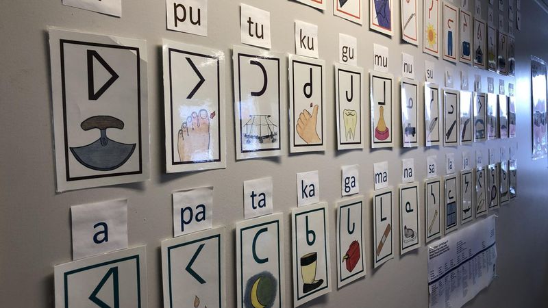 Language Family With Many Voices