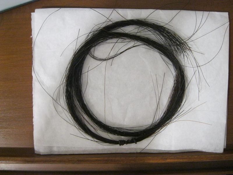 Sewing Wounds with Horsehair