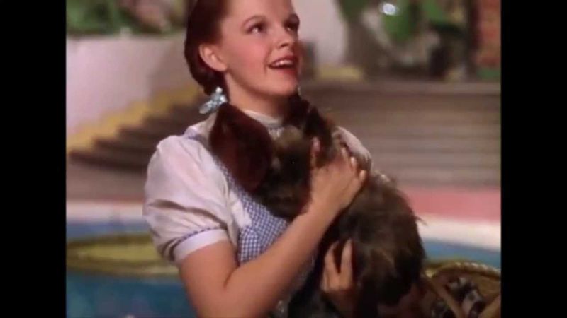 “Toto, I don’t think we’re in Kansas anymore.”