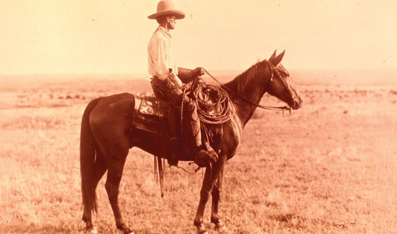Birth of the American Cowboy