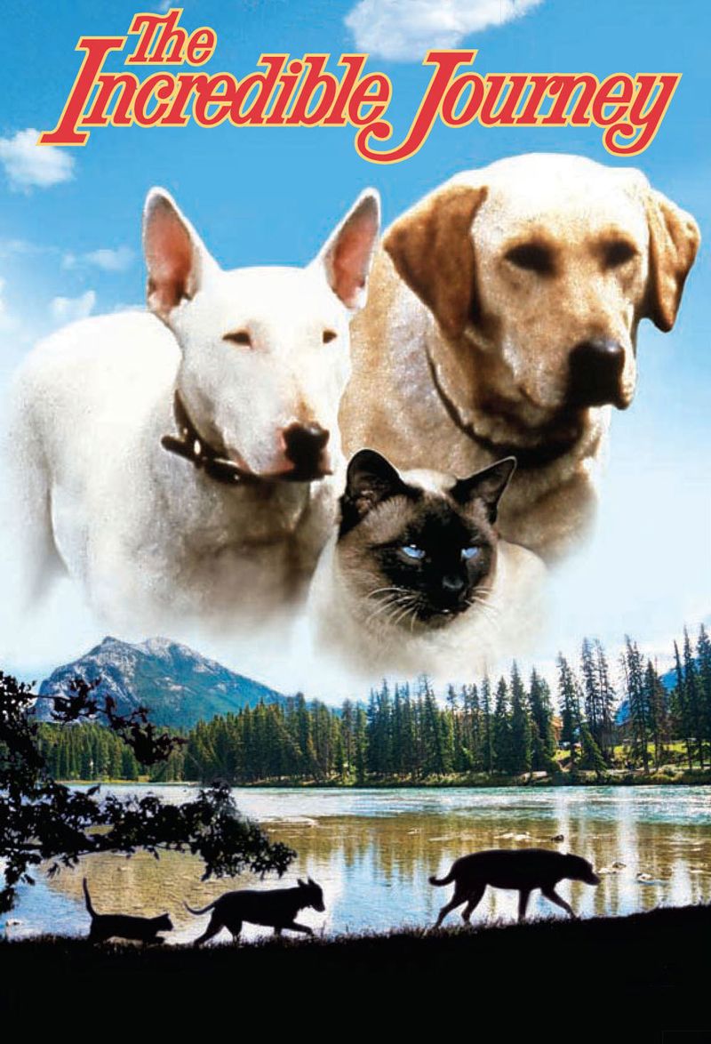 The Incredible Journey (1963)