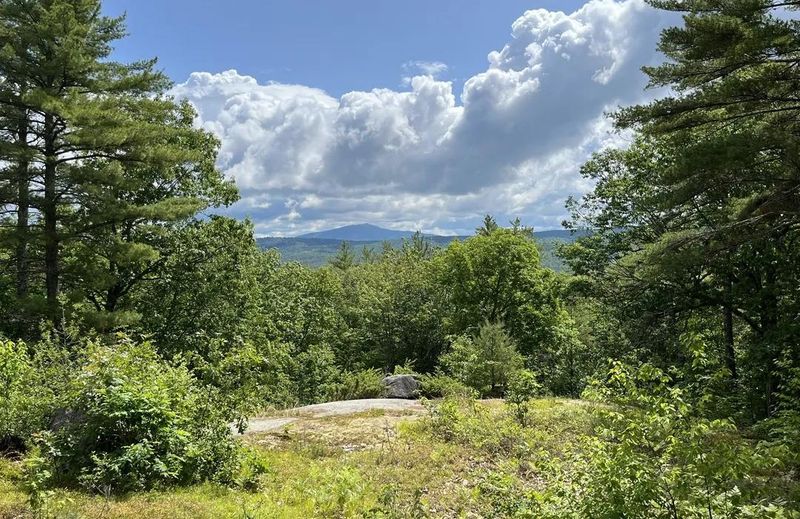 Honey Hill Fortifications