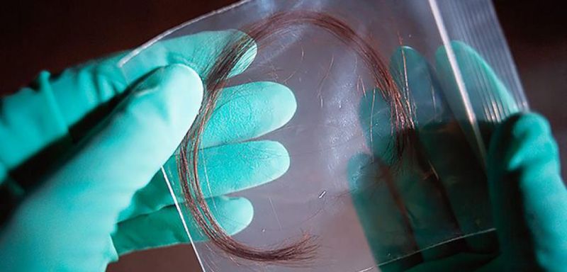 Falsified Forensic Hair Analysis