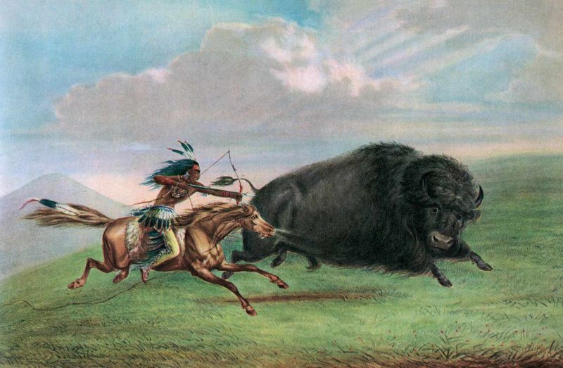 Controlled the Buffalo Trade