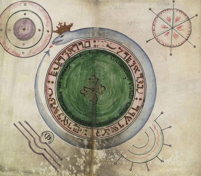 The Ouroboros