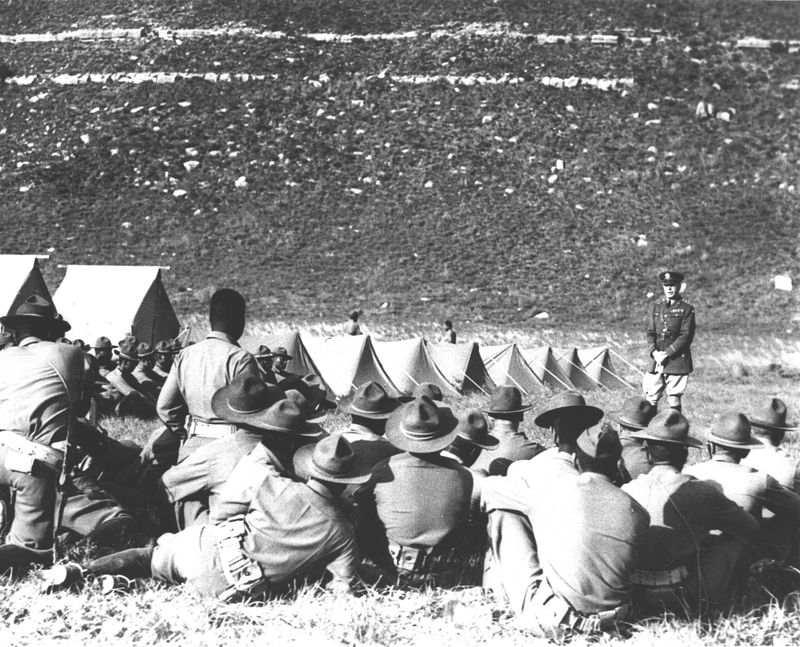 2nd Cavalry Division (Reactivated)