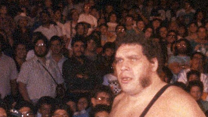The Real Reason Andre the Giant Feared Hospitals
