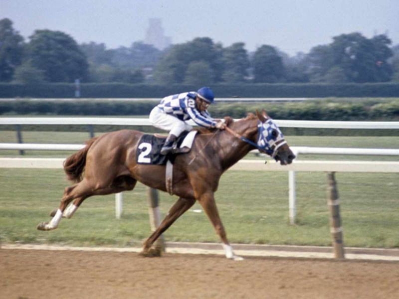 Secretariat (1973 Triple Crown Winner)